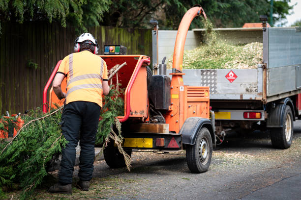 Best Tree Mulching  in Gleed, WA